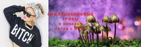 ECSTASY Абинск