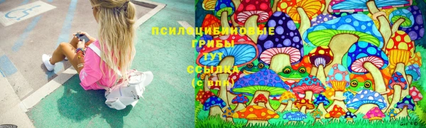 герыч Алексин