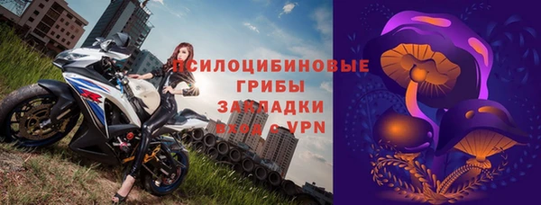 ПСИЛОЦИБИНОВЫЕ ГРИБЫ Абдулино