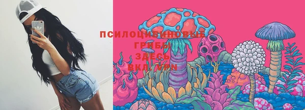 гидра Алзамай